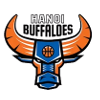 Hanoi buffalo