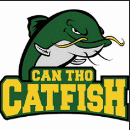 Can Tho catfish