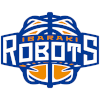 Tsukuba Robots